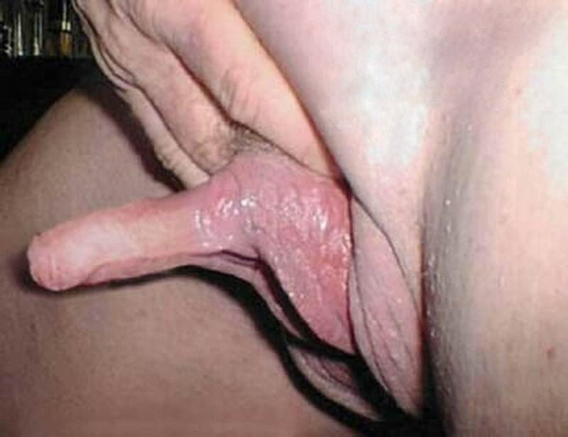 Free closeup pictures of long clitoris