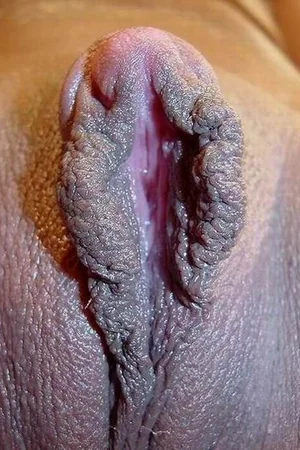 Compilation d'énormes clitoris qu'on a envie de lécher — photo 36