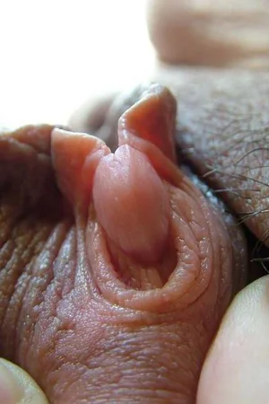 Compilation d'énormes clitoris qu'on a envie de lécher — photo 37