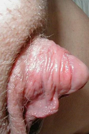 Gorgeous Compilation of Big Clits — photo 10
