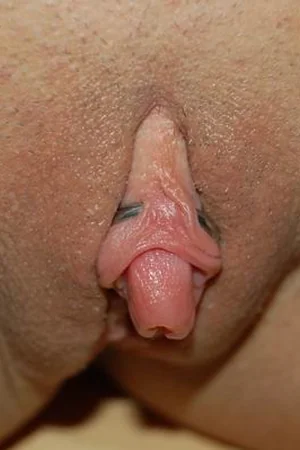 Gorgeous Compilation of Big Clits — photo 63