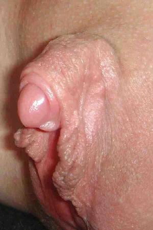 Gorgeous Compilation of Big Clits — photo 92