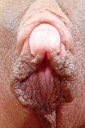 Gostosas mostrando bucetas em close e clitóris grandes — foto 3