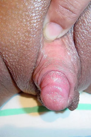 Gostosas mostrando bucetas em close e clitóris grandes — foto 7
