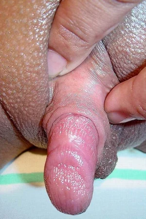 Gostosas mostrando bucetas em close e clitóris grandes — foto 8