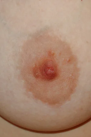 Husband Loves Jerking Off to Wife Posing Without Panties — photo 25